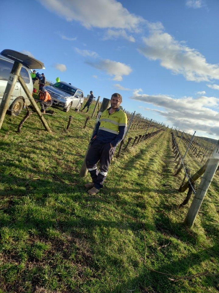 TasTAFE Skill up student in the vineyard