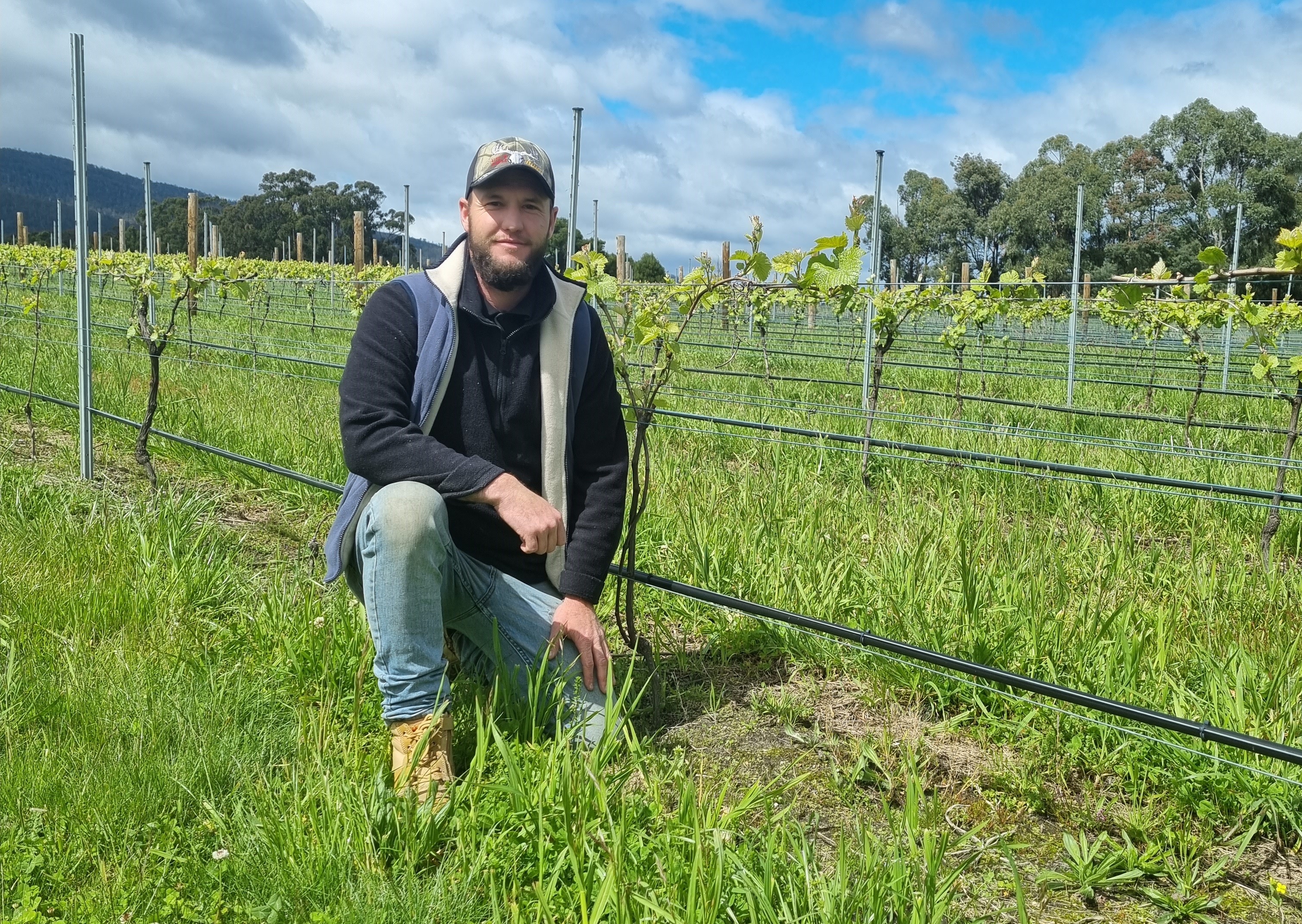man crouched in a vineyard
