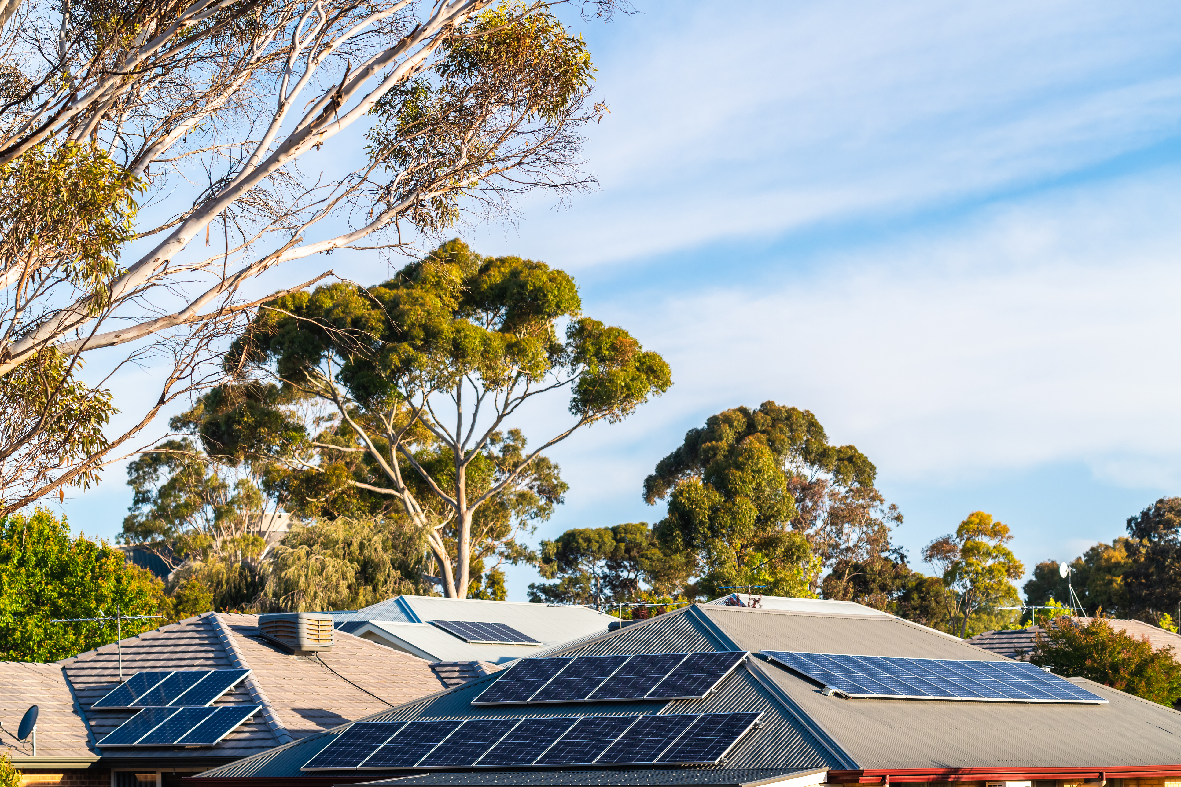 A few house roofs with solar panels and trees in the background