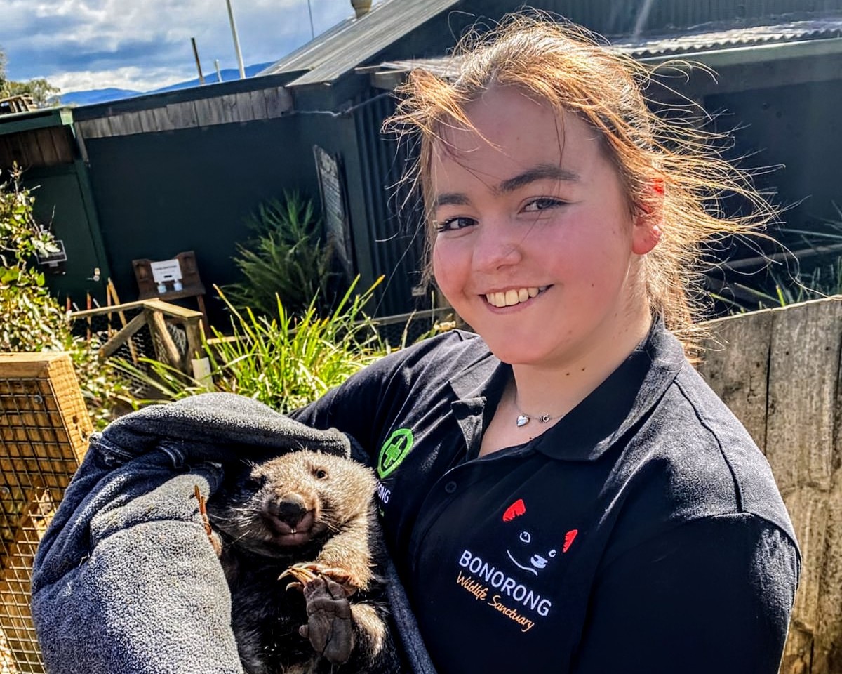 TasTAFE Certificate III in Tourism graduate Isabel Parsey with Popcorn, a rescued wombat, at Bonorong Wildlife Sanctuary.