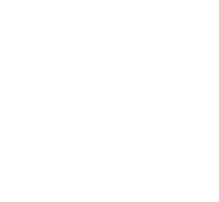 Tasmania Governmant