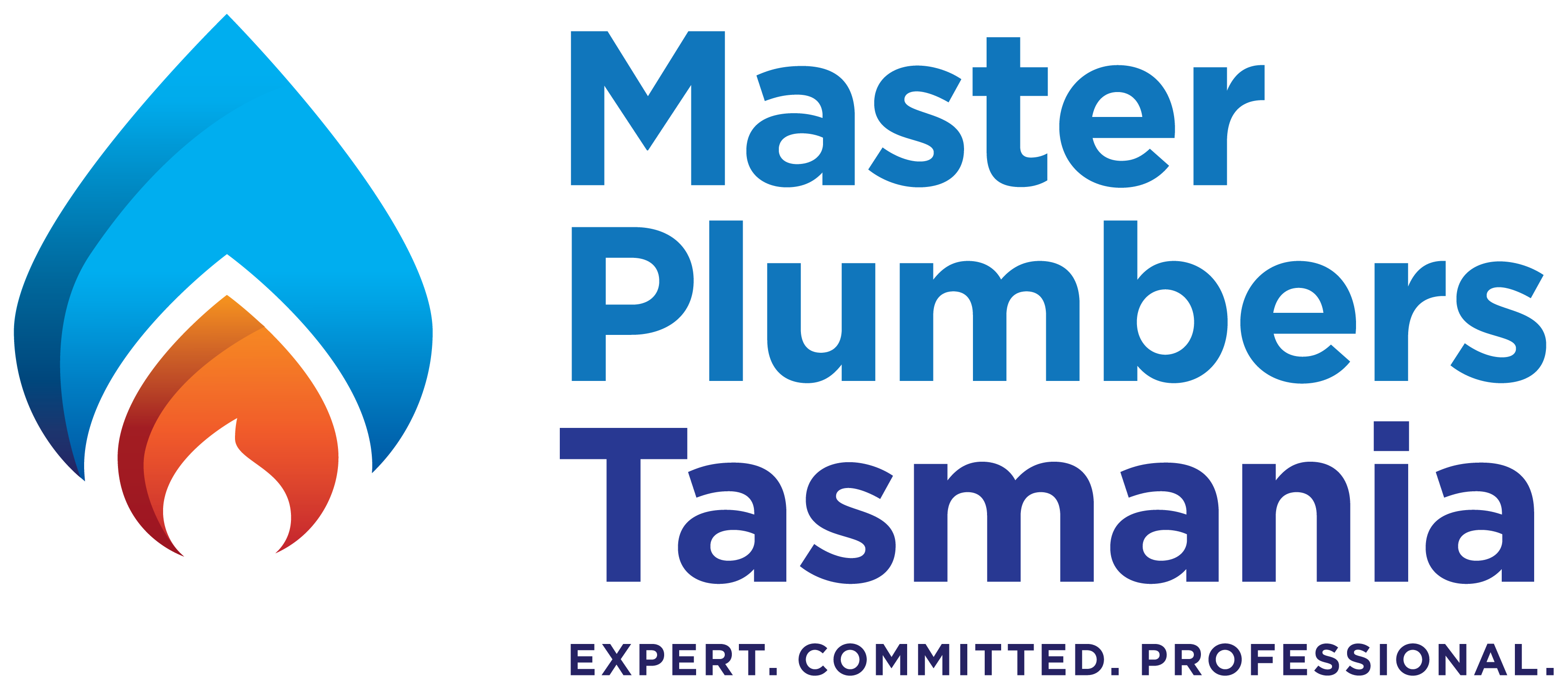 Master plumbers logo