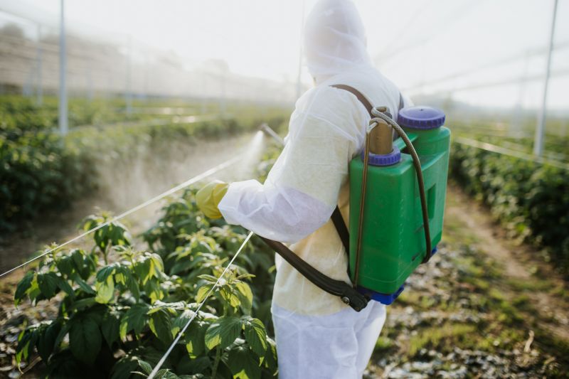 In white coveralls spraying pesticides on plants and weeds. 