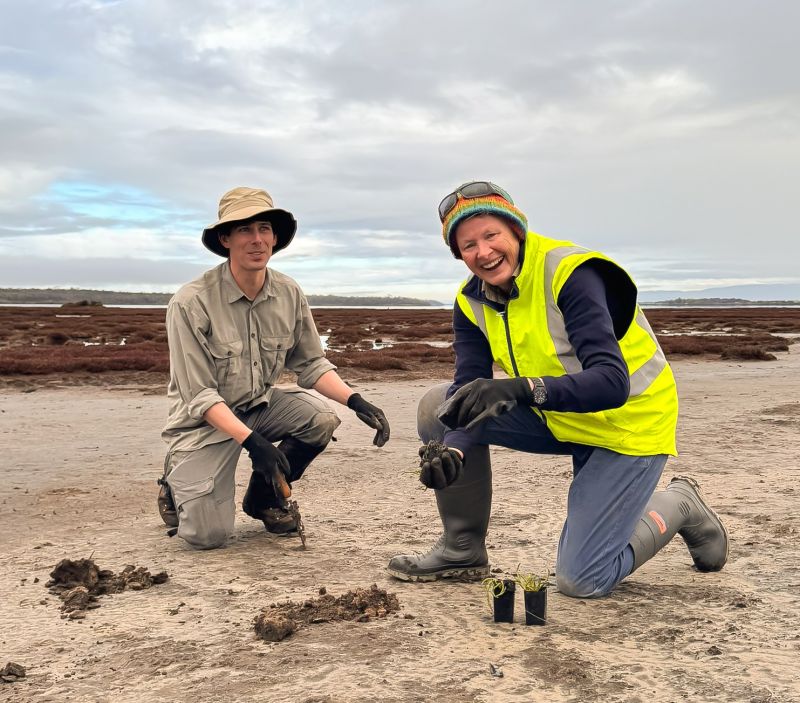 Two people kneeling on a muddy coastal salt marsh, smiling while planting small native seedlings.