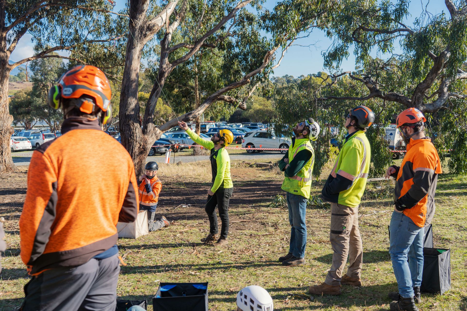 Group of people standing in hi Visibility clothing watching while another person holds a guid rope connected to a tree